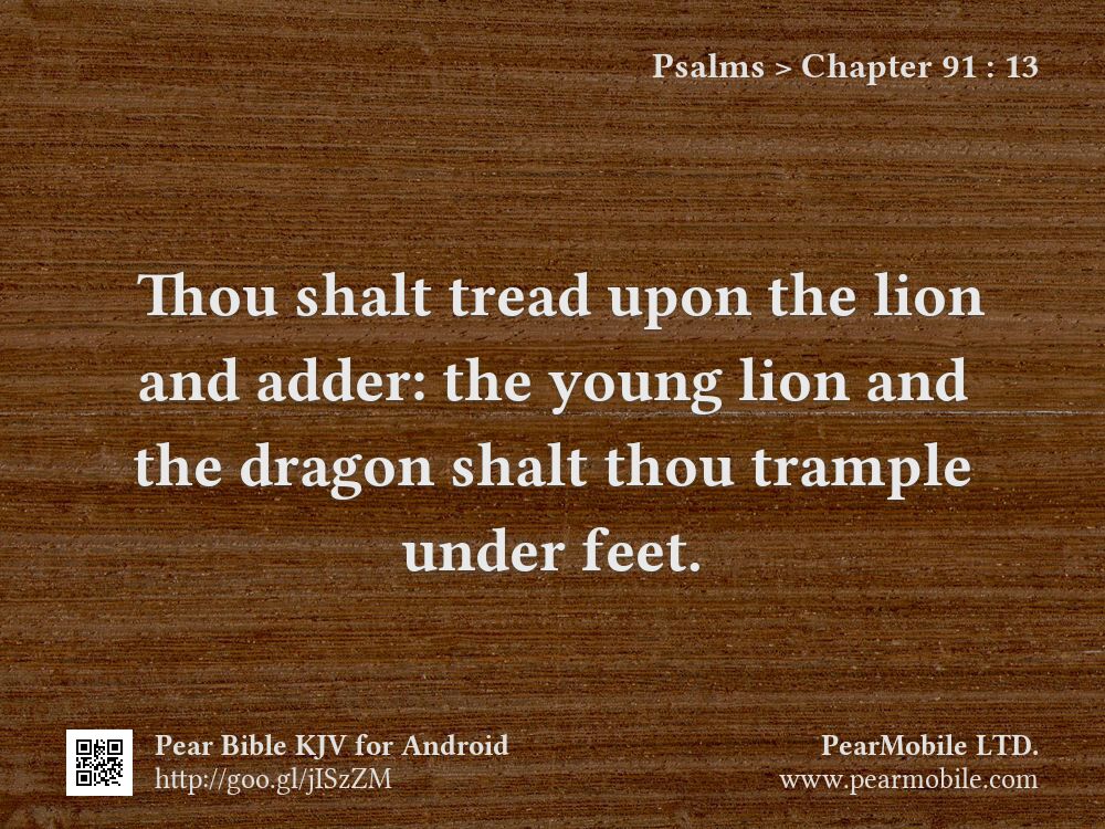 Psalms, Chapter 91:13